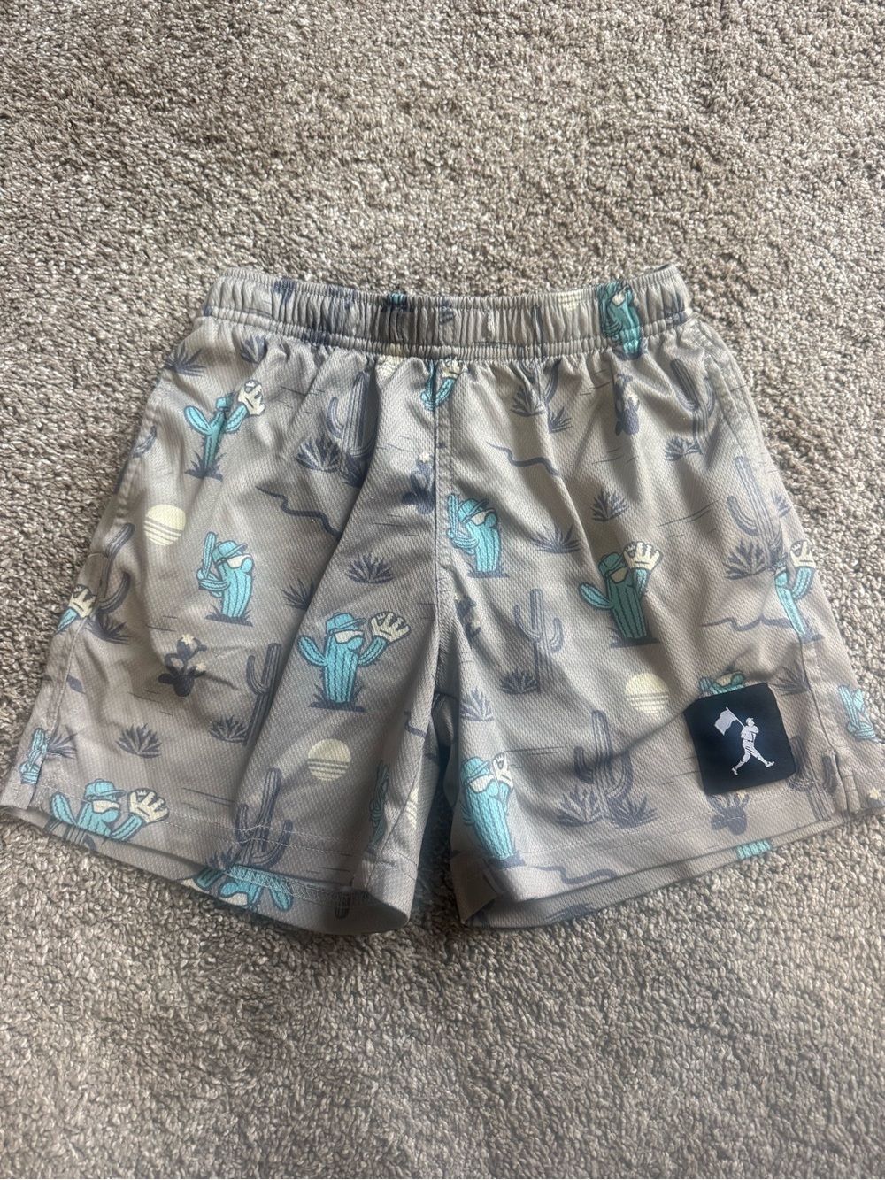 Baseballism youth small cactus shorts